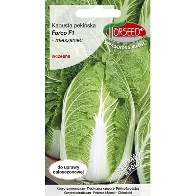 Kapusta pekińska Forco F1 WCZESNA Nasiona